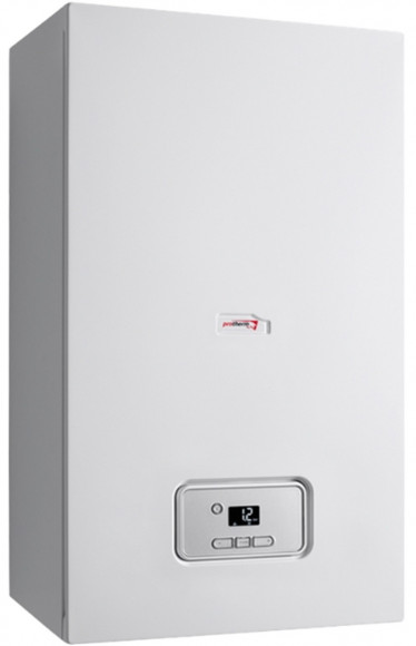 Газовый котел Protherm Гепард 23 MTV