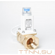 Клапан электромагнитный газовый КЗГ Ду25 Счетприбор Клапан электромагнитный газовый КЗГ Ду25 Счетприбор